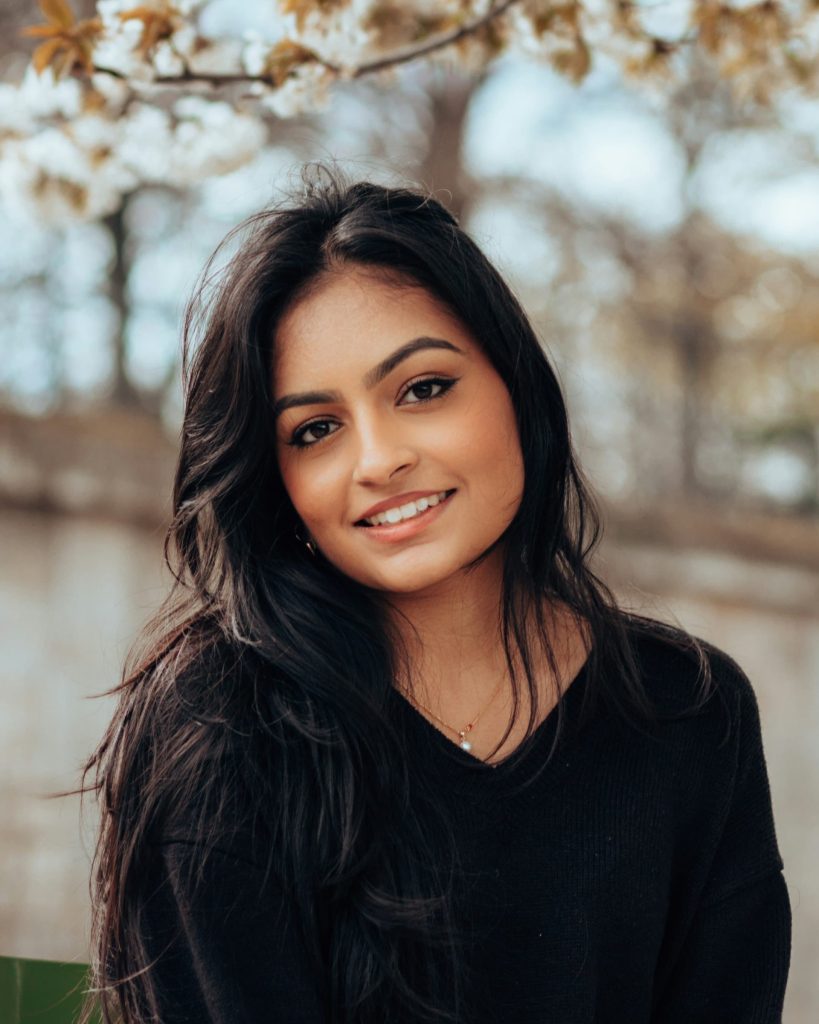 créativité et variété des styles de tresses